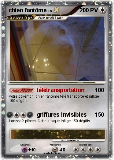 Pokemon chien fantôme
