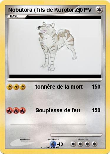 Pokemon Nobutora ( fils de Kurotora )