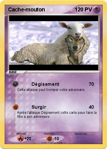 Pokemon Cache-mouton