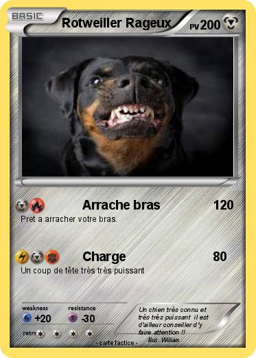 Pokemon Rotweiller Rageux