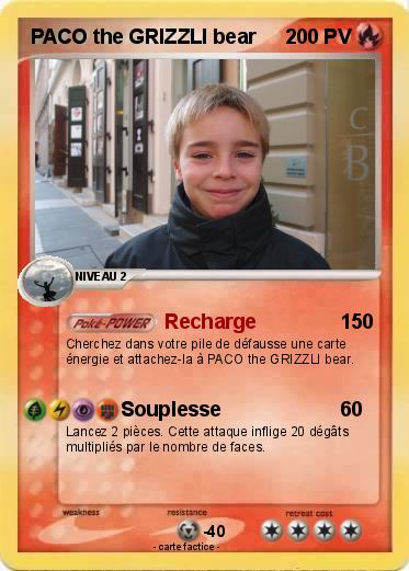 Pokemon PACO the GRIZZLI bear