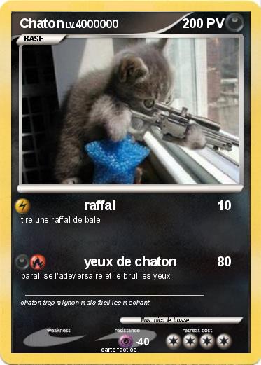 Pokemon Chaton