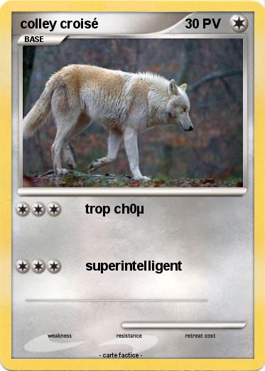 Pokemon colley croisé