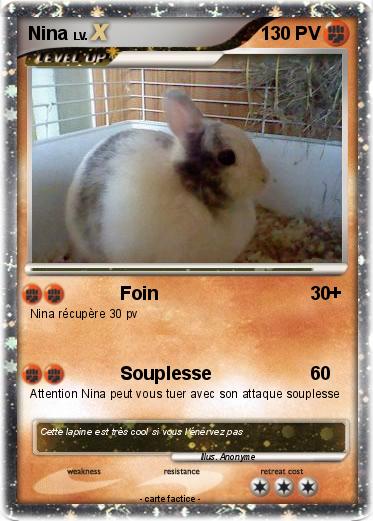 Pokemon Nina