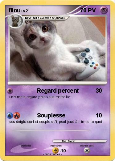 Pokemon filou