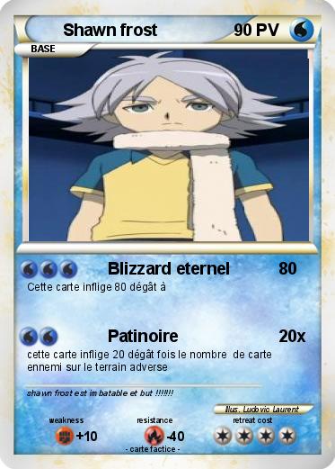 Pokemon Shawn frost