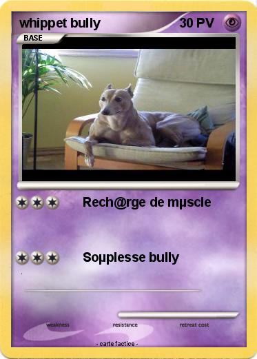 Pokemon whippet bully