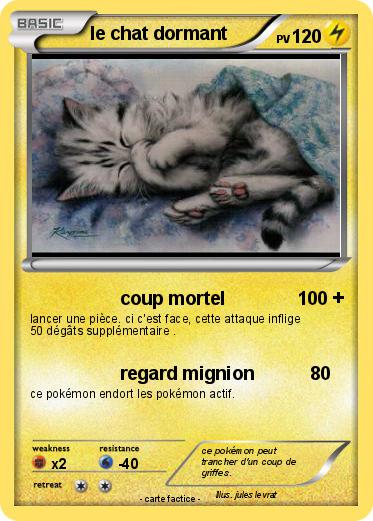 Pokemon le chat dormant