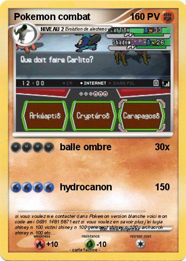 Pokemon Pokemon combat