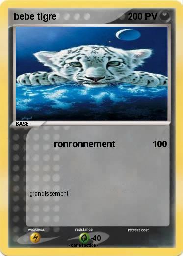 Pokemon bebe tigre