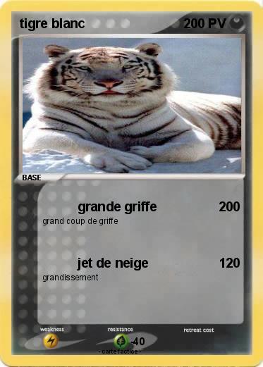 Pokemon tigre blanc