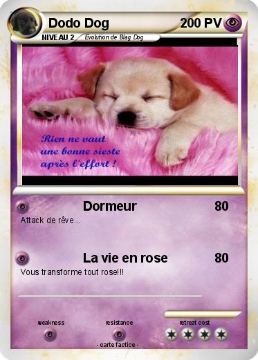 Pokemon Dodo Dog