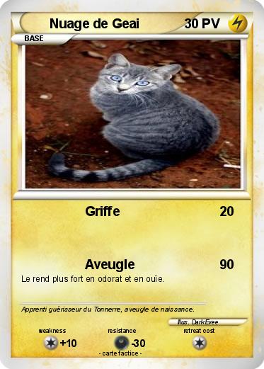 Pokemon Nuage de Geai