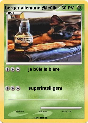 Pokemon berger allemand @lc0lie