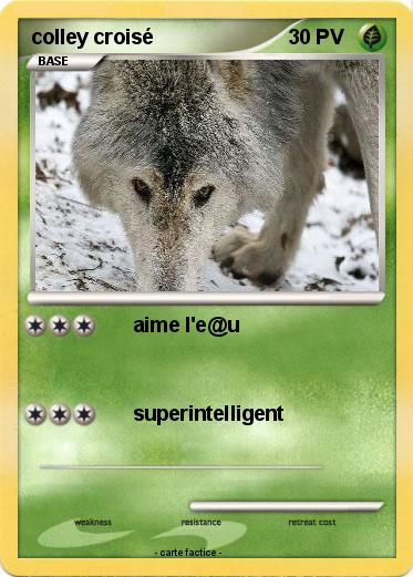 Pokemon colley croisé