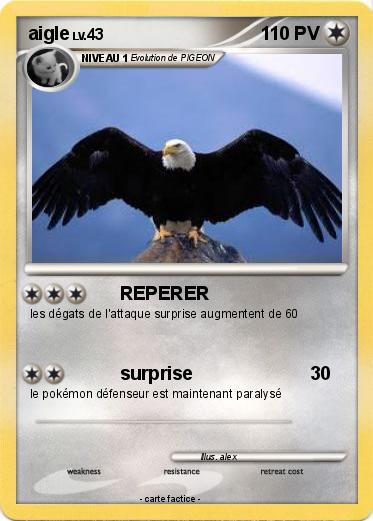 Pokemon aigle