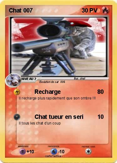 Pokemon Chat 007
