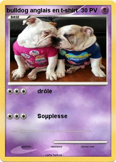 Pokemon bulldog anglais en t-shirt