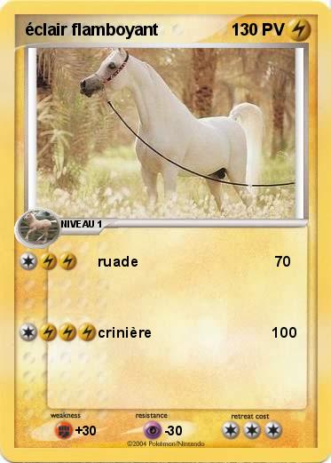 Pokemon éclair flamboyant