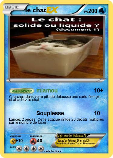 Pokemon le chat