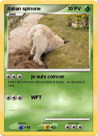 Pokemon italian spinone