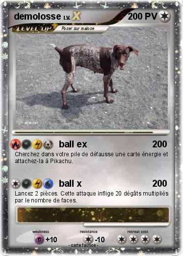 Pokemon demolosse