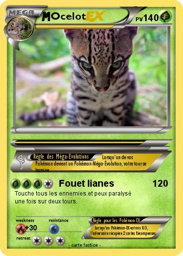 Pokemon Ocelot