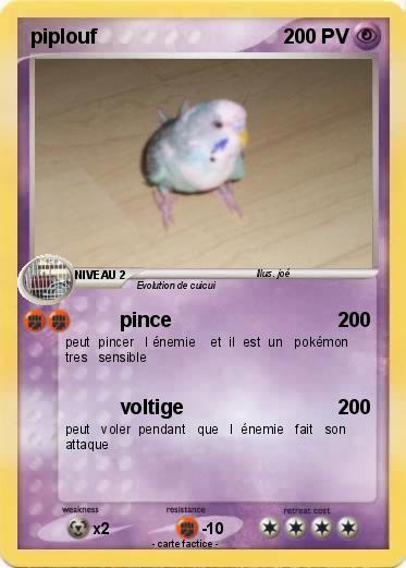 Pokemon piplouf