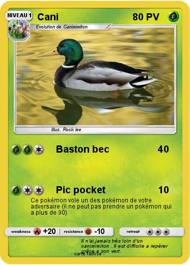 Pokemon Cani