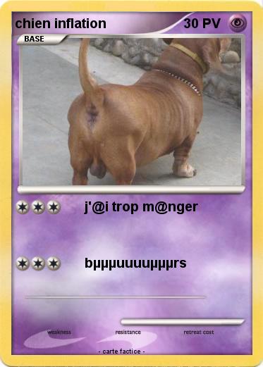 Pokemon chien inflation