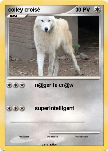 Pokemon colley croisé