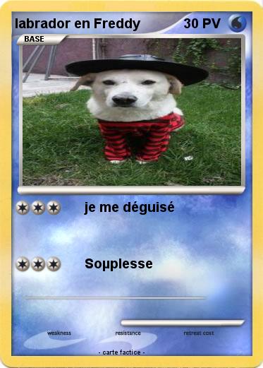 Pokemon labrador en Freddy