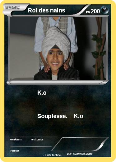 Pokemon Roi des nains