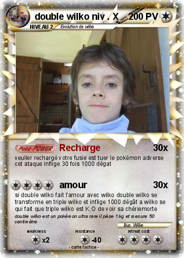 Pokemon double wilko niv . X
