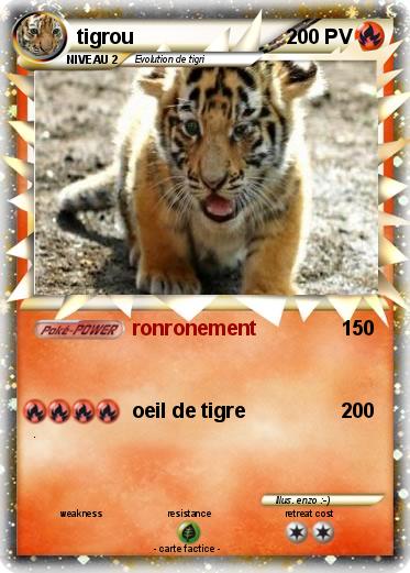 Pokemon tigrou