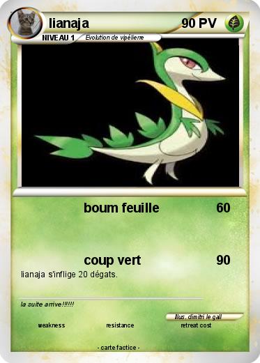 Pokemon lianaja