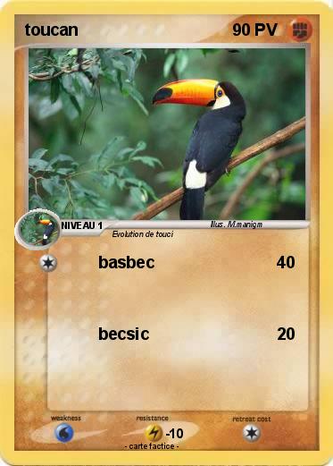 Pokemon toucan