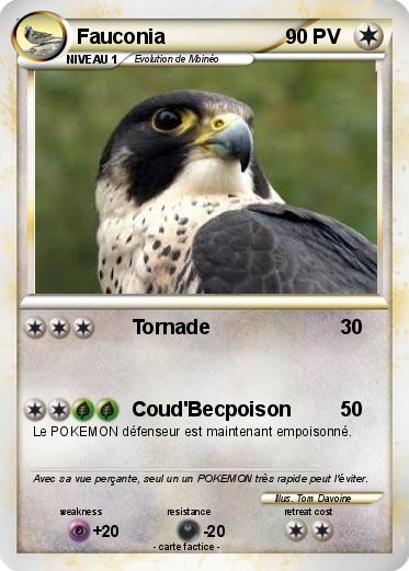 Pokemon Fauconia