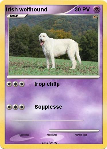 Pokemon irish wolfhound
