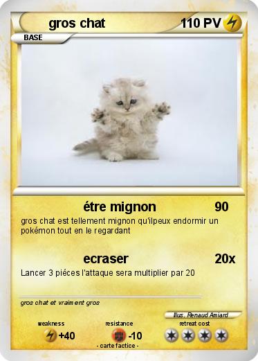 Pokemon gros chat