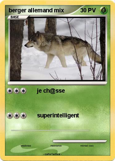 Pokemon berger allemand mix