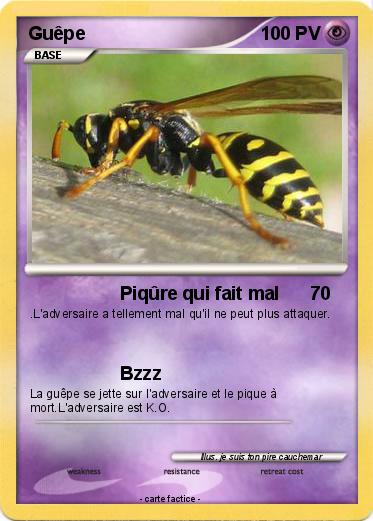 Pokemon Guêpe