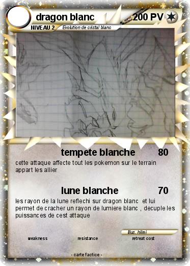 Pokemon dragon blanc