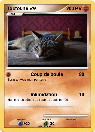 Pokemon Toutoune