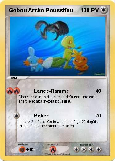 Pokemon Gobou Arcko Poussifeu