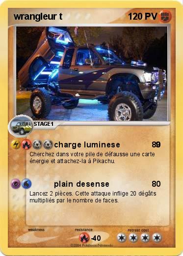 Pokemon wrangleur t