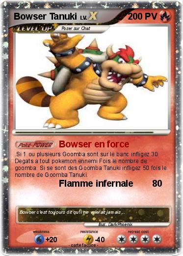 Pokemon Bowser Tanuki