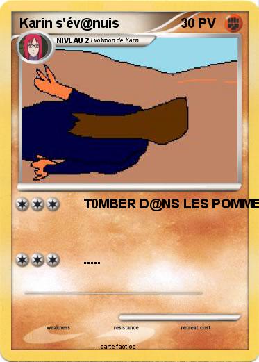 Pokemon Karin s'év@nuis