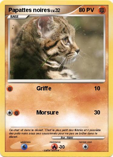 Pokemon Papattes noires