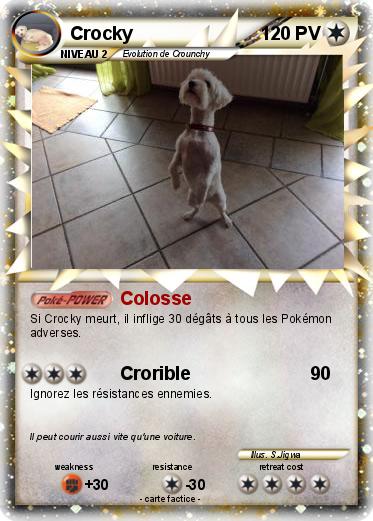 Pokemon Crocky